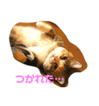ぽてぐみスタンプバージョン2（個別スタンプ：1）