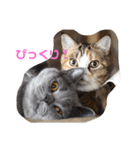 ぽてぐみスタンプバージョン2（個別スタンプ：4）