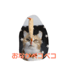 ぽてぐみスタンプバージョン2（個別スタンプ：5）