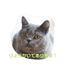 ぽてぐみスタンプバージョン2（個別スタンプ：9）