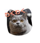 ぽてぐみスタンプバージョン2（個別スタンプ：11）