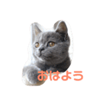 ぽてぐみスタンプバージョン2（個別スタンプ：12）