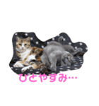 ぽてぐみスタンプバージョン2（個別スタンプ：14）