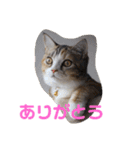 ぽてぐみスタンプバージョン2（個別スタンプ：15）