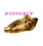 ぽてぐみスタンプバージョン2（個別スタンプ：16）
