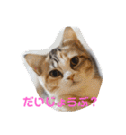 ぽてぐみスタンプバージョン2（個別スタンプ：17）