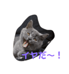 ぽてぐみスタンプバージョン2（個別スタンプ：18）