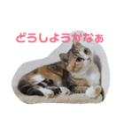 ぽてぐみスタンプバージョン2（個別スタンプ：22）