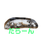 ぽてぐみスタンプバージョン2（個別スタンプ：23）