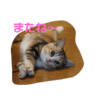 ぽてぐみスタンプバージョン2（個別スタンプ：24）