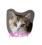 ぽてぐみスタンプバージョン2（個別スタンプ：28）