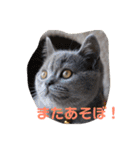 ぽてぐみスタンプバージョン2（個別スタンプ：33）
