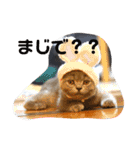 ぽてぐみスタンプバージョン2（個別スタンプ：34）