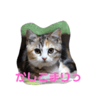 ぽてぐみスタンプバージョン2（個別スタンプ：35）