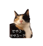 宮崎弁のハナやけど、なんね？（個別スタンプ：5）