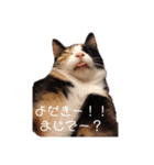 宮崎弁のハナやけど、なんね？（個別スタンプ：6）