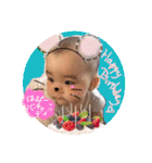 かわいいbabyゆりんスタンプ第2弾（個別スタンプ：27）