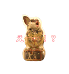 ショウガラゴ（猿）のギジュモとテト（個別スタンプ：6）