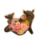 ショウガラゴ（猿）のギジュモとテト（個別スタンプ：12）