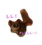 ショウガラゴ（猿）のギジュモとテト（個別スタンプ：17）