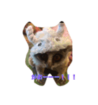 ショウガラゴ（猿）のギジュモとテト（個別スタンプ：20）