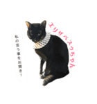 新田家の猫（個別スタンプ：4）