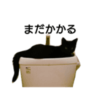 おもちとぽんず（個別スタンプ：3）