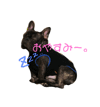 フレブルのリキと愉快な仲間たち（個別スタンプ：2）