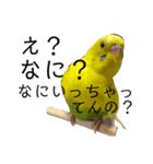 フレブルのリキと愉快な仲間たち（個別スタンプ：10）