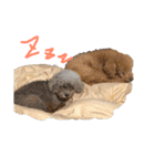 俺のわんこたち（個別スタンプ：3）