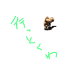 俺のわんこたち（個別スタンプ：4）