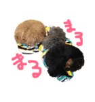 俺のわんこたち（個別スタンプ：17）