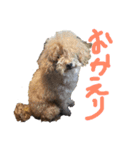 俺のわんこたち（個別スタンプ：18）