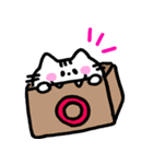 ごんさんちのねこ（個別スタンプ：15）
