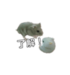 Hamster Subaru（個別スタンプ：8）