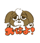 シーズー_犬のスタンプ（個別スタンプ：1）