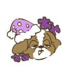 シーズー_犬のスタンプ（個別スタンプ：4）