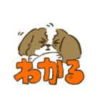 シーズー_犬のスタンプ（個別スタンプ：8）