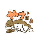 シーズー_犬のスタンプ（個別スタンプ：11）