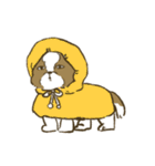 シーズー_犬のスタンプ（個別スタンプ：13）