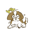 シーズー_犬のスタンプ（個別スタンプ：15）