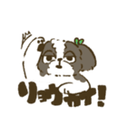 シーズー_犬のスタンプ（個別スタンプ：16）