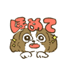 シーズー_犬のスタンプ（個別スタンプ：19）