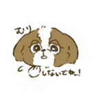 シーズー_犬のスタンプ（個別スタンプ：21）