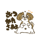 シーズー_犬のスタンプ（個別スタンプ：24）