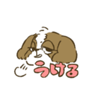 シーズー_犬のスタンプ（個別スタンプ：29）