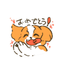 シーズー_犬のスタンプ（個別スタンプ：30）