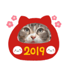 AKAHORI_CATS（個別スタンプ：24）