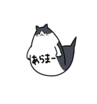 ふきだし にゃんこちゃん（個別スタンプ：24）