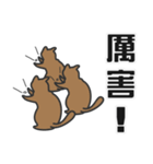 せねこ 12 -SENEKO 12- 台湾華語（個別スタンプ：1）